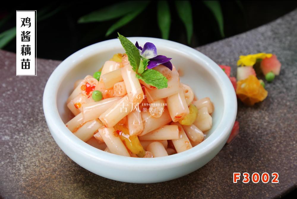 F3002雞醬藕苗