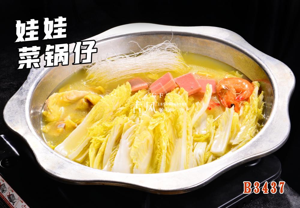 B3437娃娃菜鍋仔