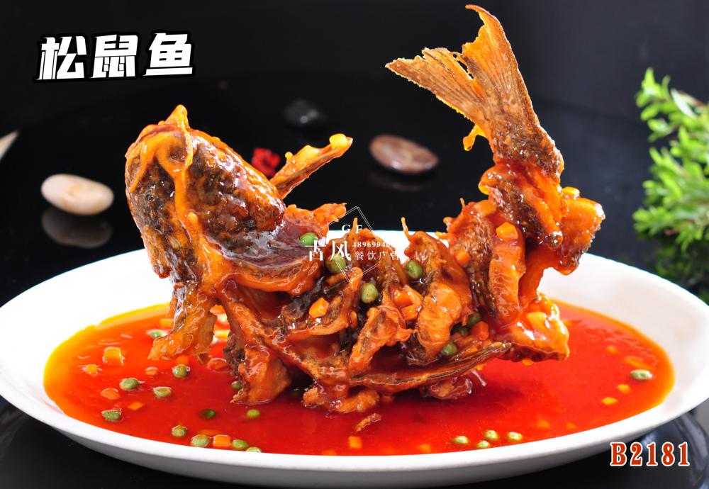 B2181松鼠魚