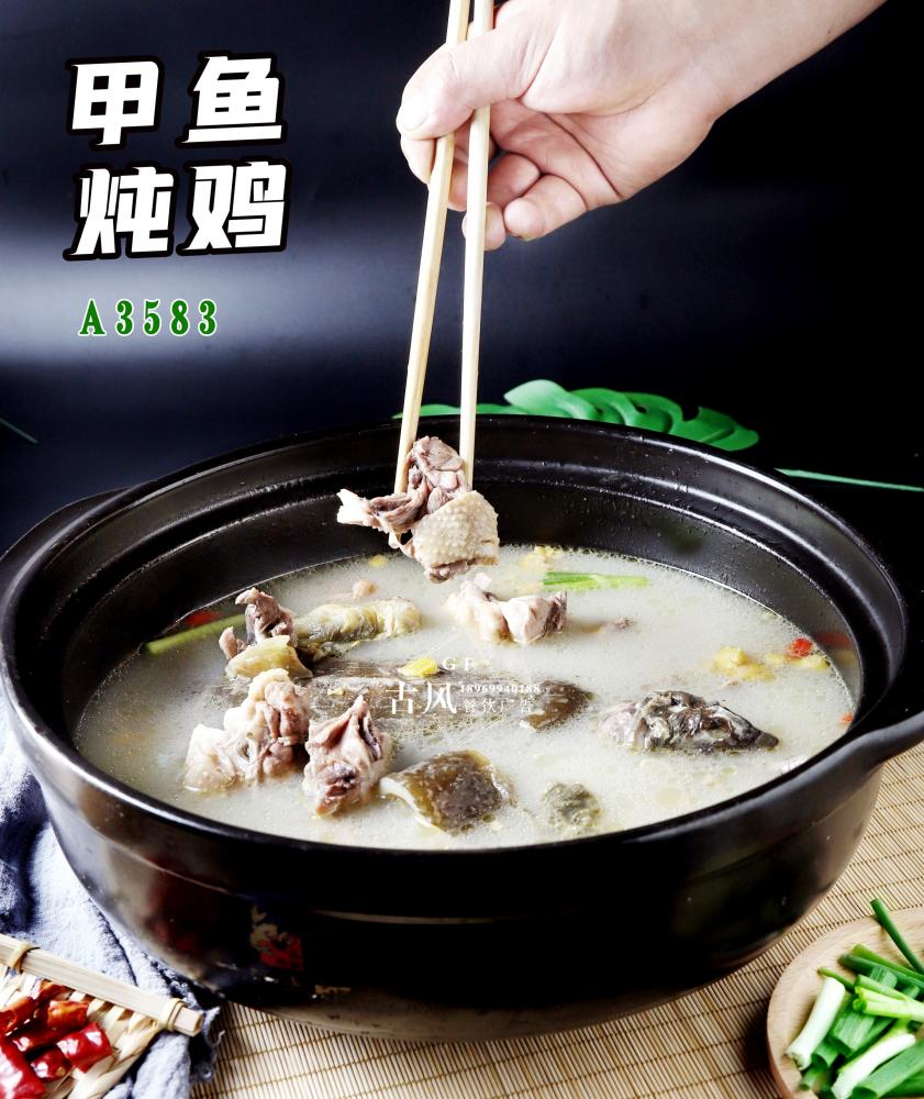 A3582甲魚炖雞