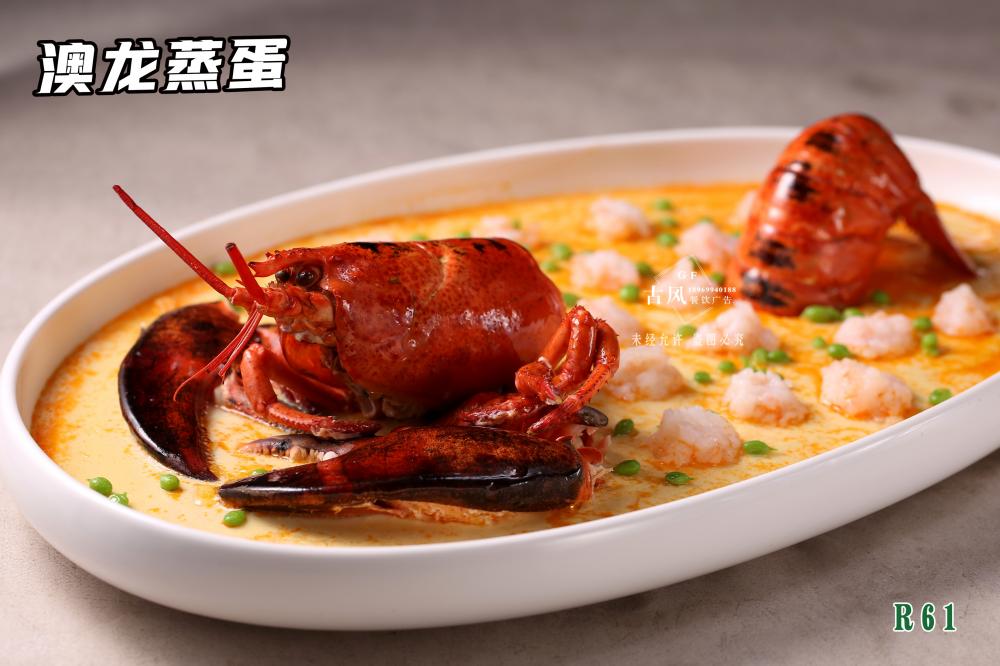 R61澳龍蒸蛋