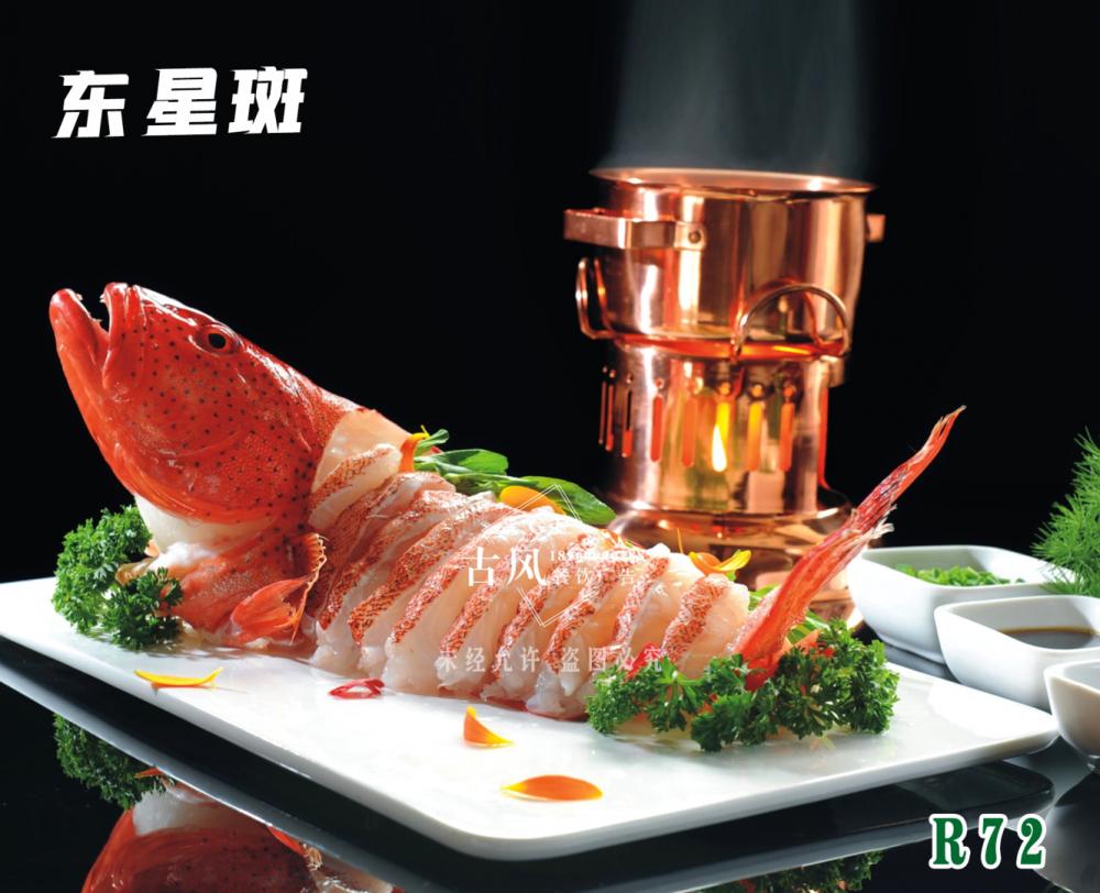 R72東(dōng)星斑