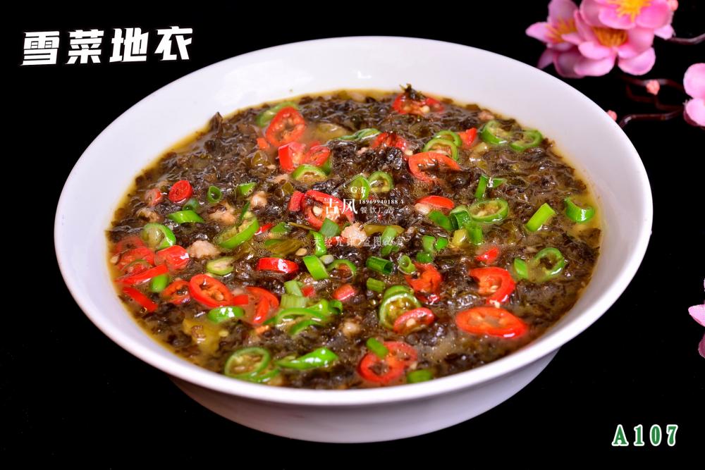 A107  雪(xuě)菜地(dì)衣