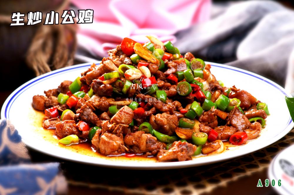 A906生(shēng)炒小(xiǎo)公雞 生(shēng)炒雞 竹林(lín)雞
