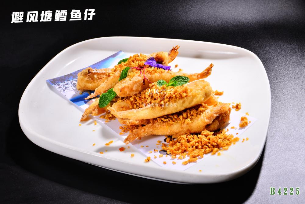 B4225避風(fēng)塘鳕魚仔