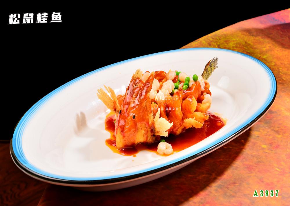 A3937松鼠桂魚