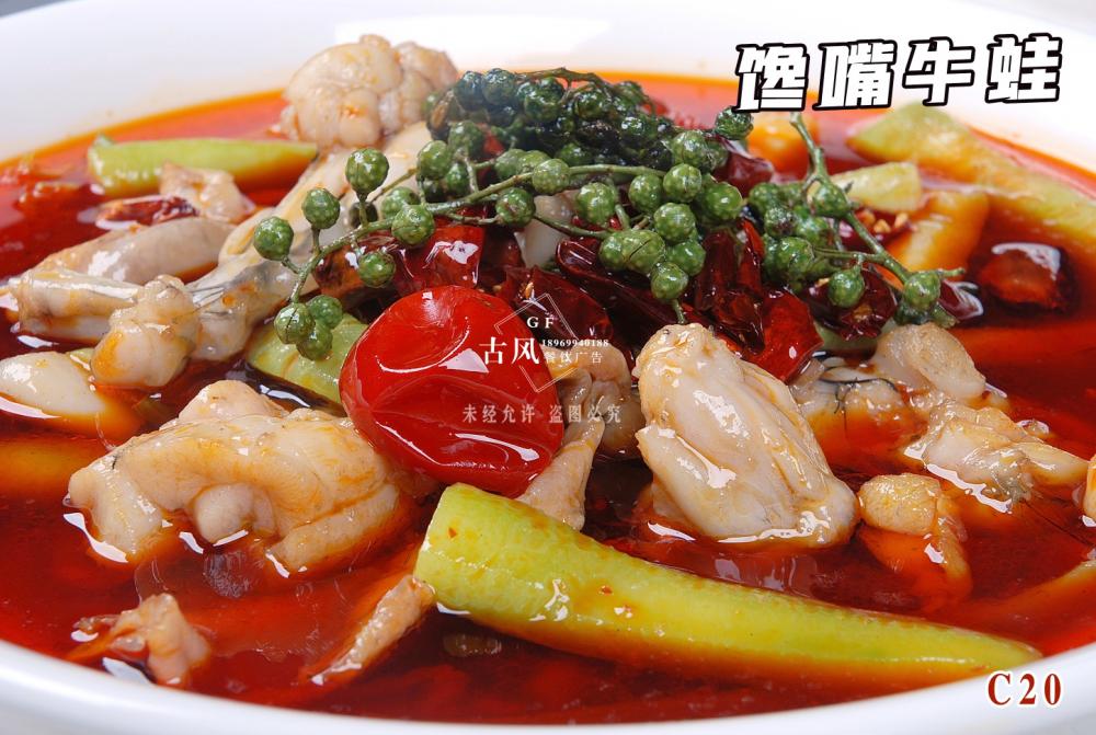 C20饞嘴牛蛙
