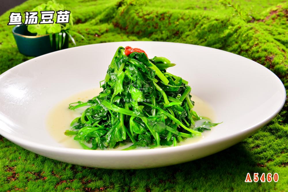 A5460魚湯豆苗