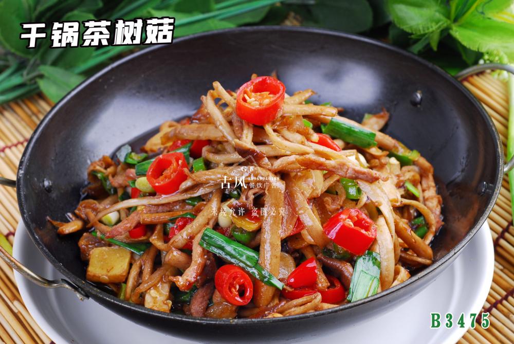 B3475幹鍋茶樹(shù)菇