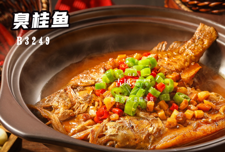 B3249臭桂魚
