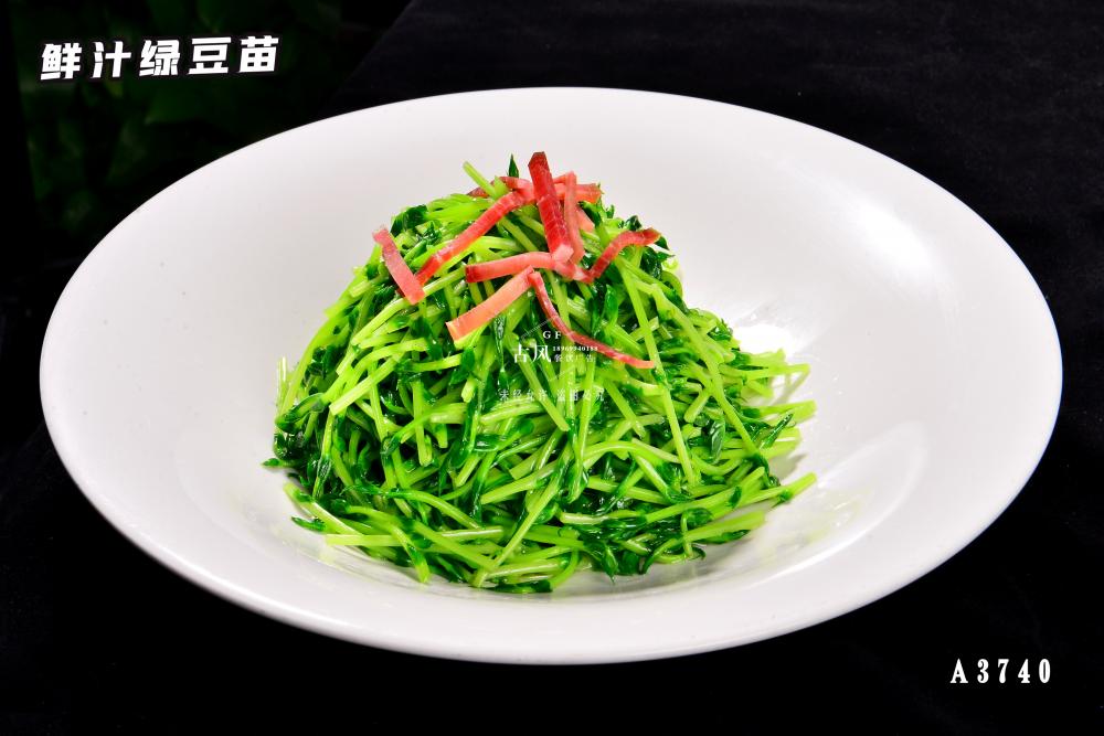 A3740鮮汁綠(lǜ)豆苗