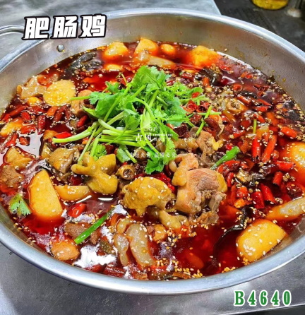 B4640肥腸雞