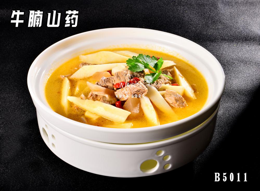 B5011牛腩山(shān)藥